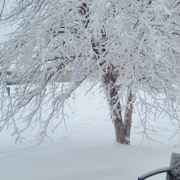 @POSHLIKEABOSS Is live Nowโจ๏ธ take screenshot, join show visit, Say hi Friends-ty - Picture 16 of 17